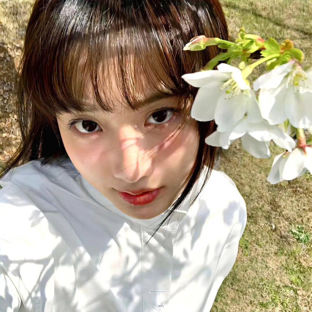 青楼红杏